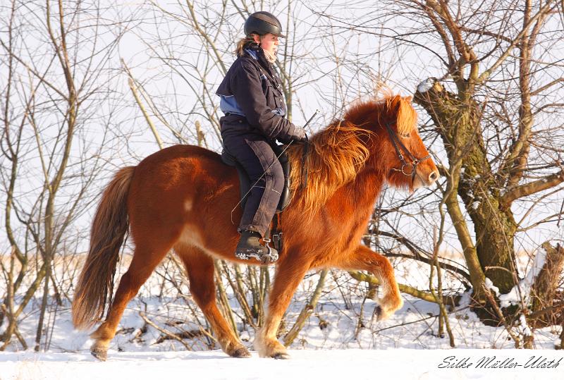 Draumey Toelt 04_02_2012 b.jpg - Ninja und Draumey